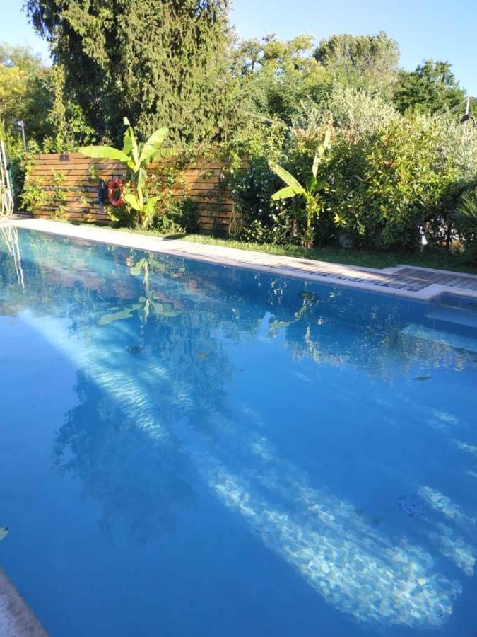 ברדולינו Villa Paradiso Del Garda Vista-Verde מראה חיצוני תמונה